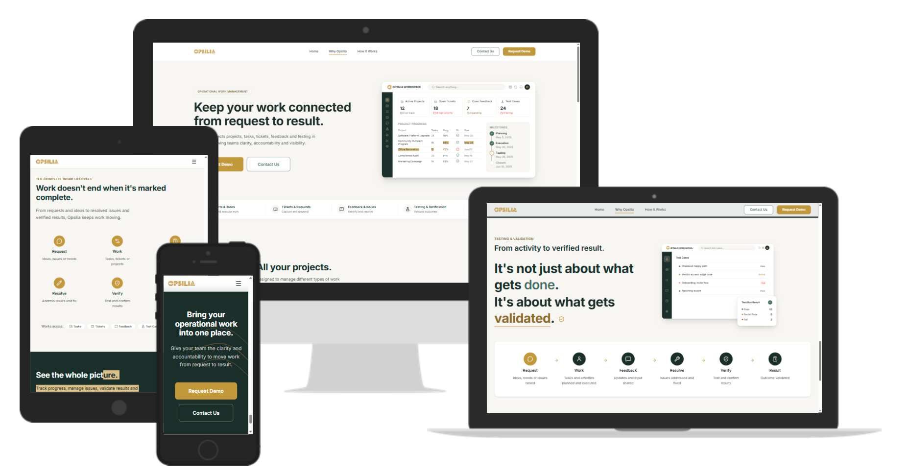 Opsilia Client website (1)